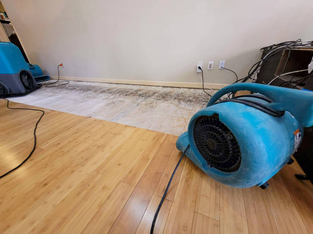 Professional Sewage Cleanup technician working in Menomonee Falls, WI